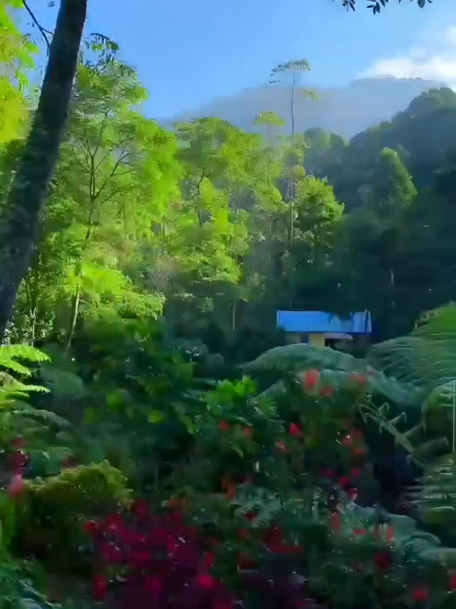 Hôtel Penginapan Nuansa Riung Gunung à Pangalengan Extérieur photo